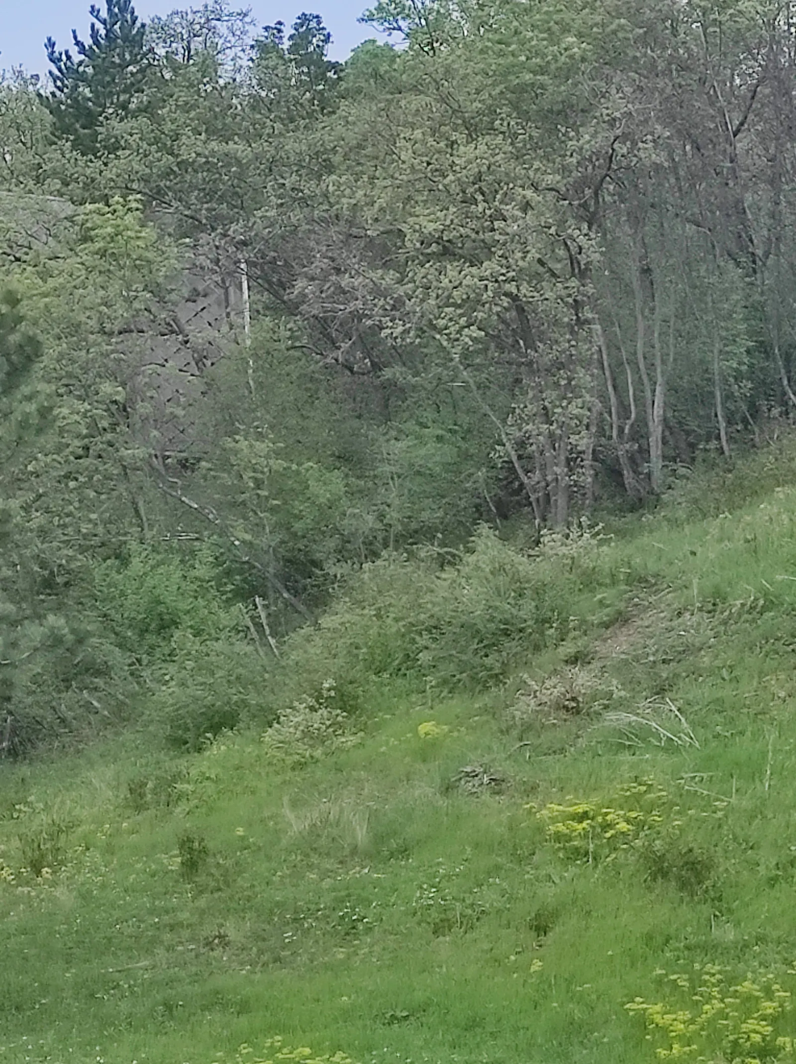 Családi ház – Gyenesdiás, 14. fotó