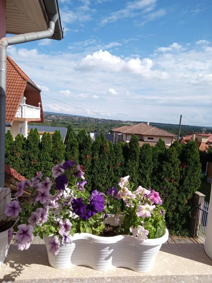 Családi ház – Hévíz, 18. fotó