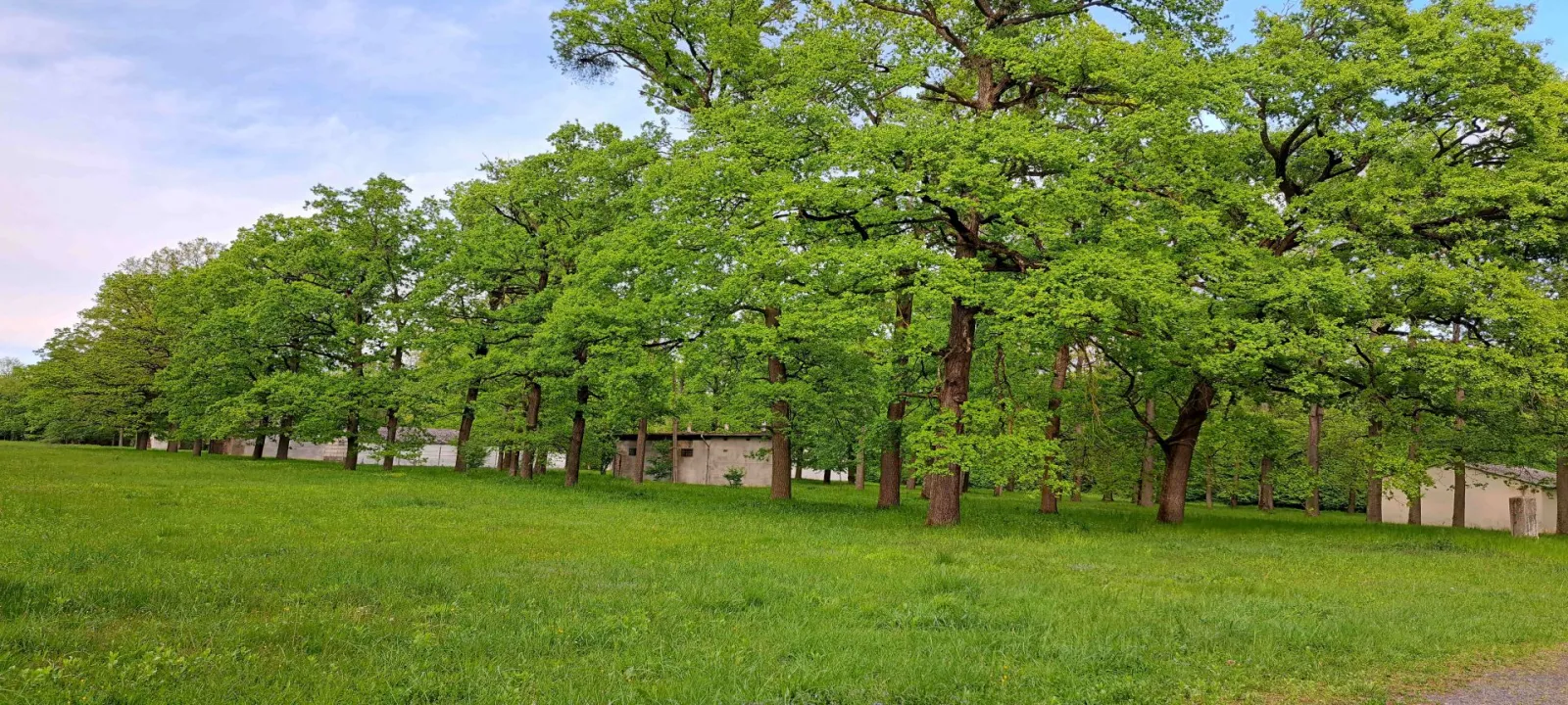 Telek – Nagykanizsa