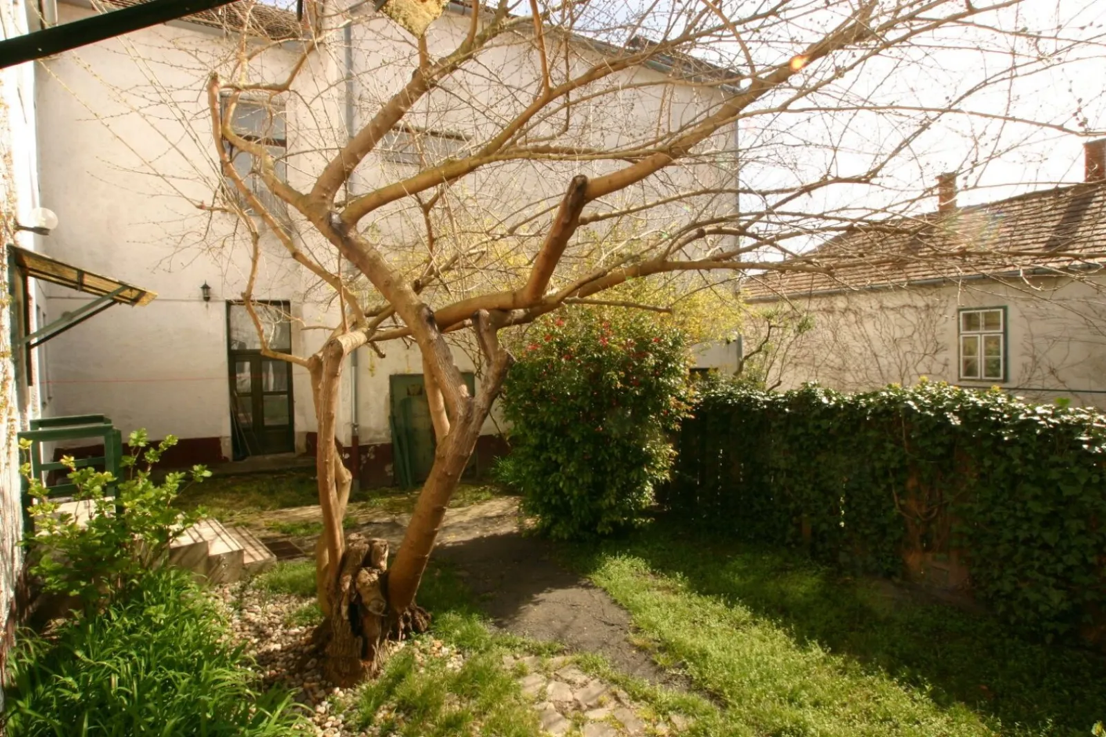 Guesthouse / Hotel – Badacsonytomaj, 2. photo