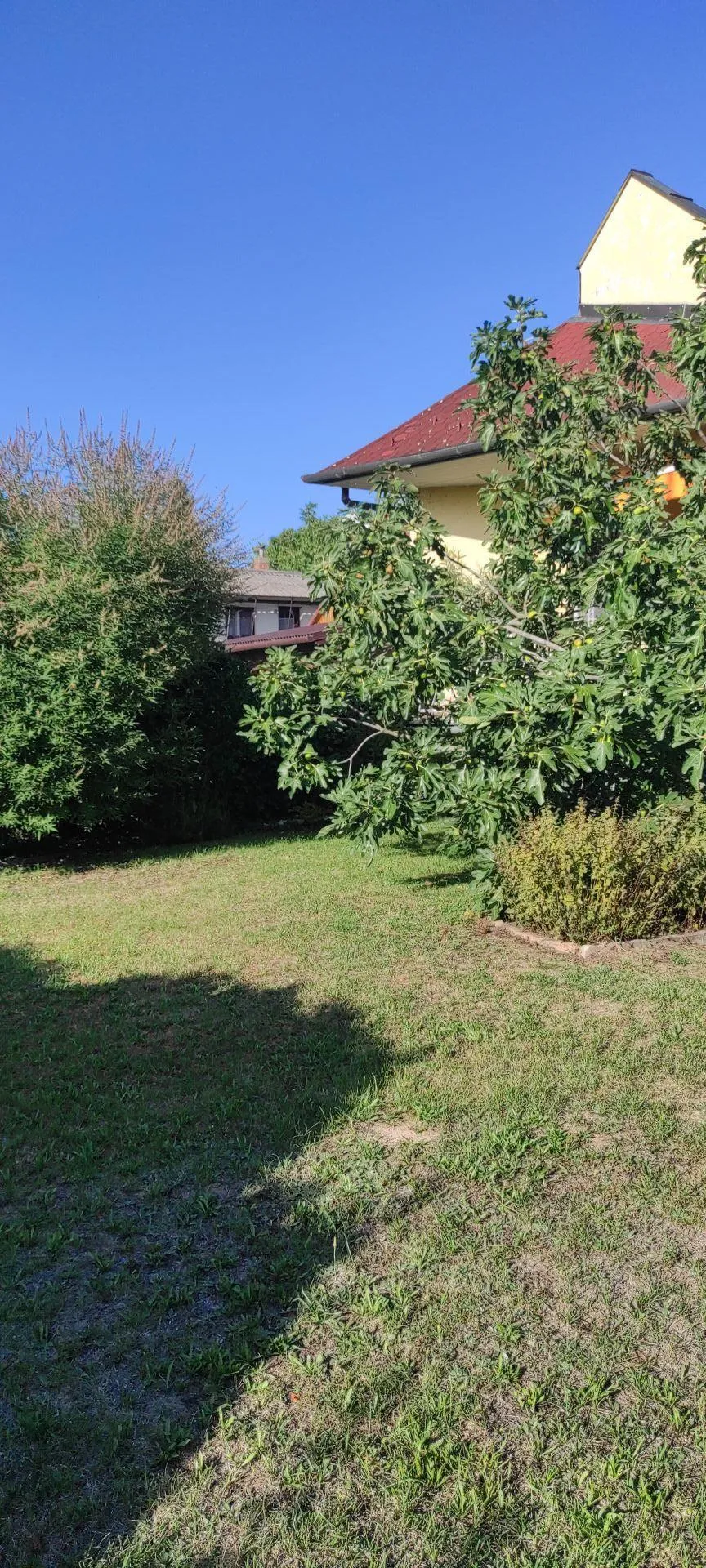Detached house – Hévíz, 28. photo