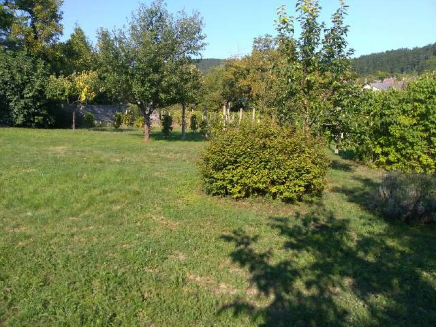 Haus – Vonyarcvashegy, 19. Foto
