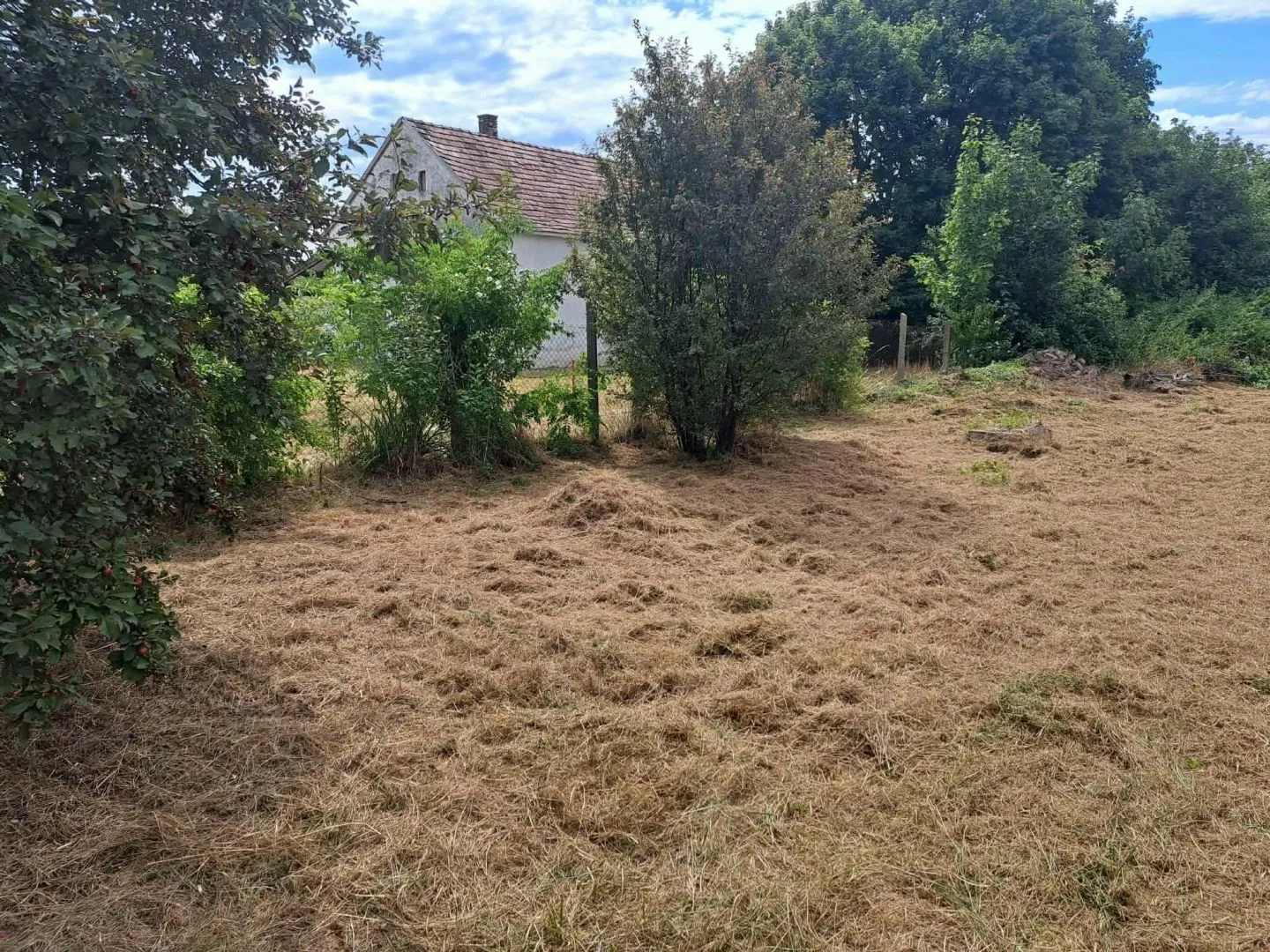 Telek – UKK, 5. fotó