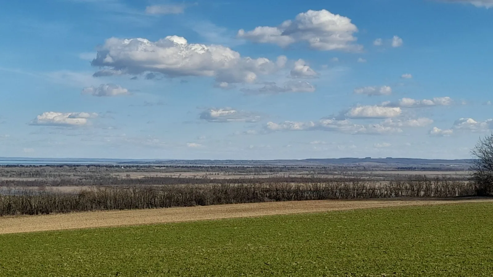 Telek – Nemesboldogasszonyfa, 2. fotó